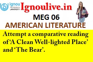 Attempt a comparative reading of ‘A Clean Well-lighted Place’ and ‘The Bear'