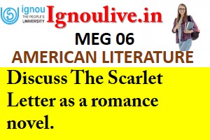 Discuss The Scarlet Letter as a romance novel