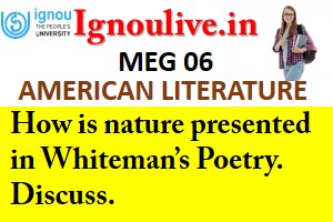 How is nature presented in Whiteman’s Poetry. Discuss