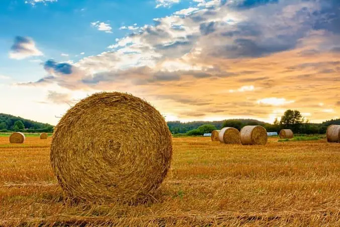 What is the hay farming profit per acre?