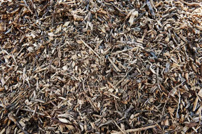 Eucalyptus Mulch Pros And Cons
